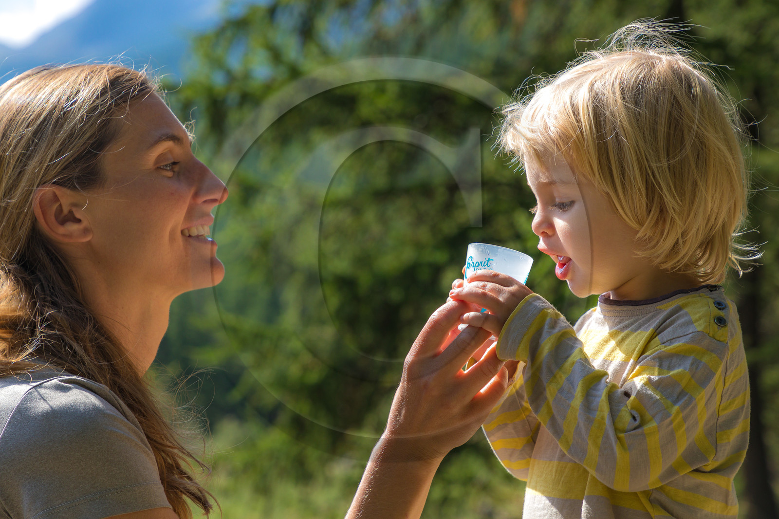 Bureau Montagne Visa Trekking