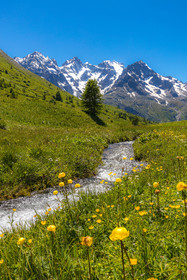 Col du Lautaret, La Meije