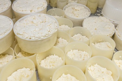 Vallée du Champsaur, fromagerie Ebrard