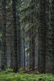 ENS de l'Isère, Les Ecouges
