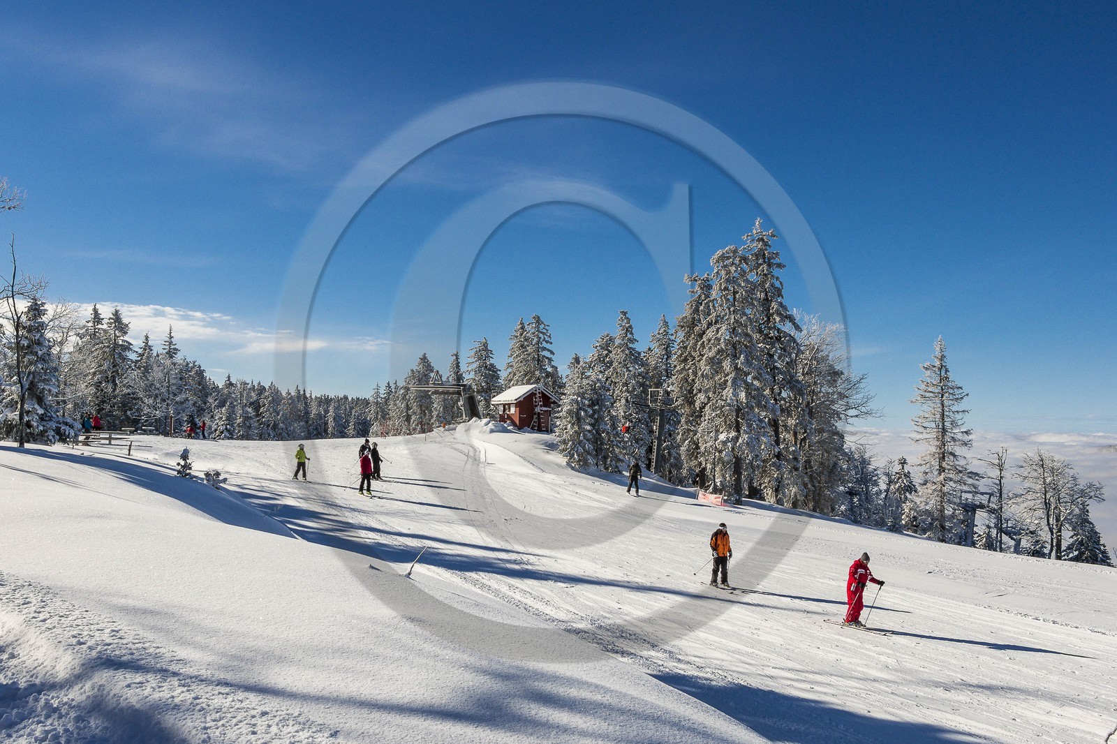 ENS de l'Isère, Plateau de la Molière et du Sornin