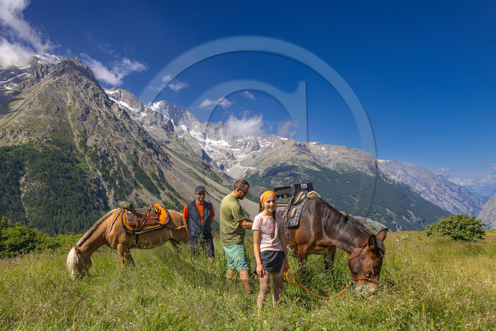 Trek famille avec animaux de bats