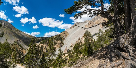 Parc naturel régional du Queyras, col de l'Izoard