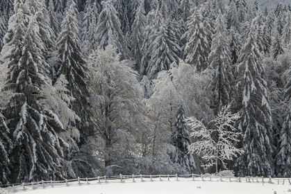ENS de l'Isère, Les Ecouges