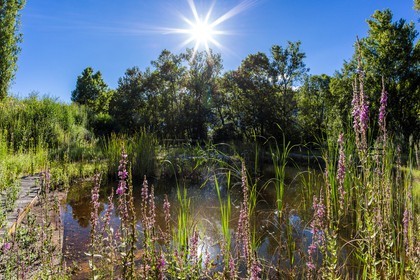ENS de l'Isère, espace alluvial de la Rolande