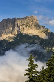 vallon de La Jarjatte, Tête de Vachères
