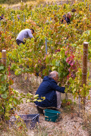 Domaine du Mont Guillaume