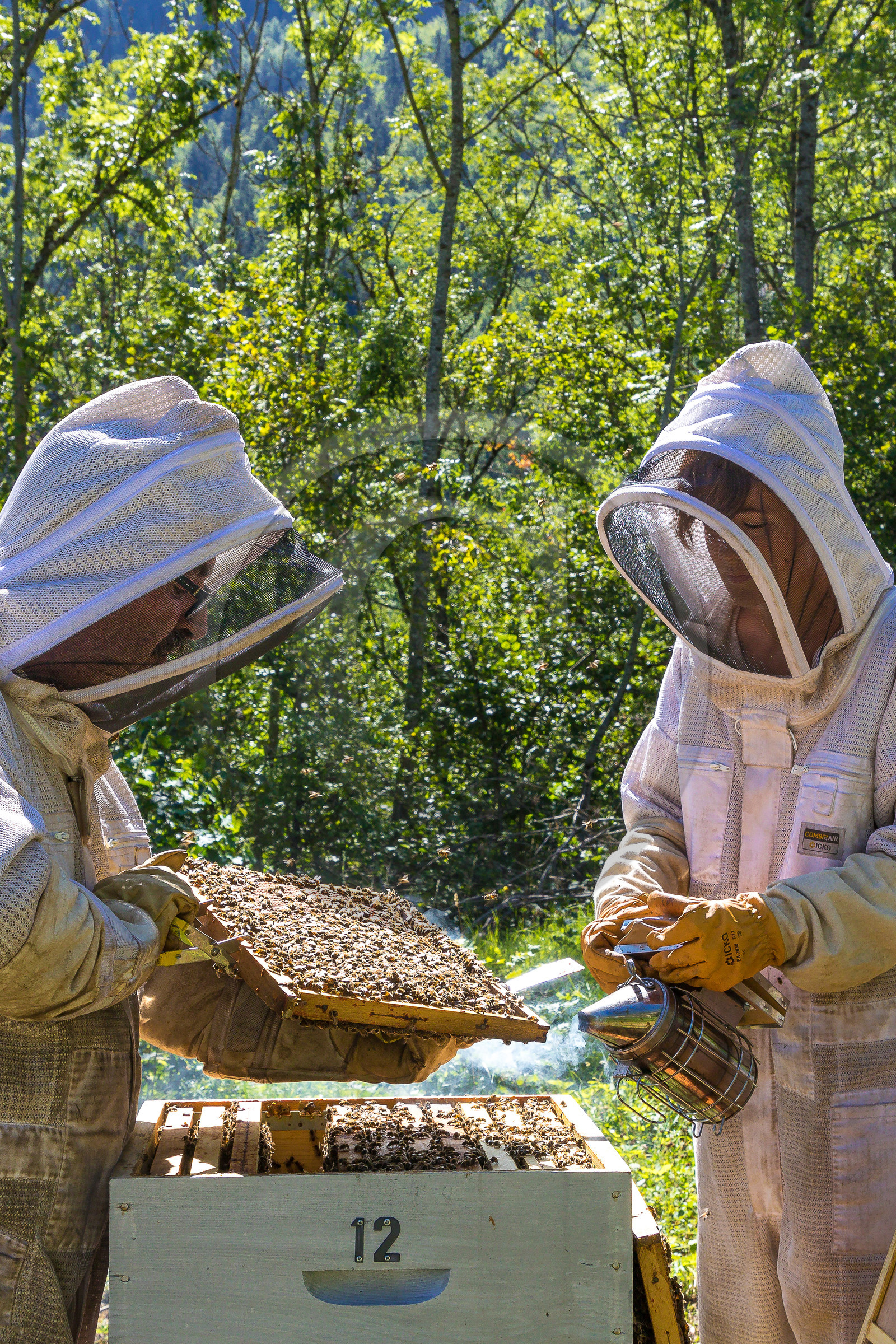 Margaux et Didier Pissard, apiculteurs