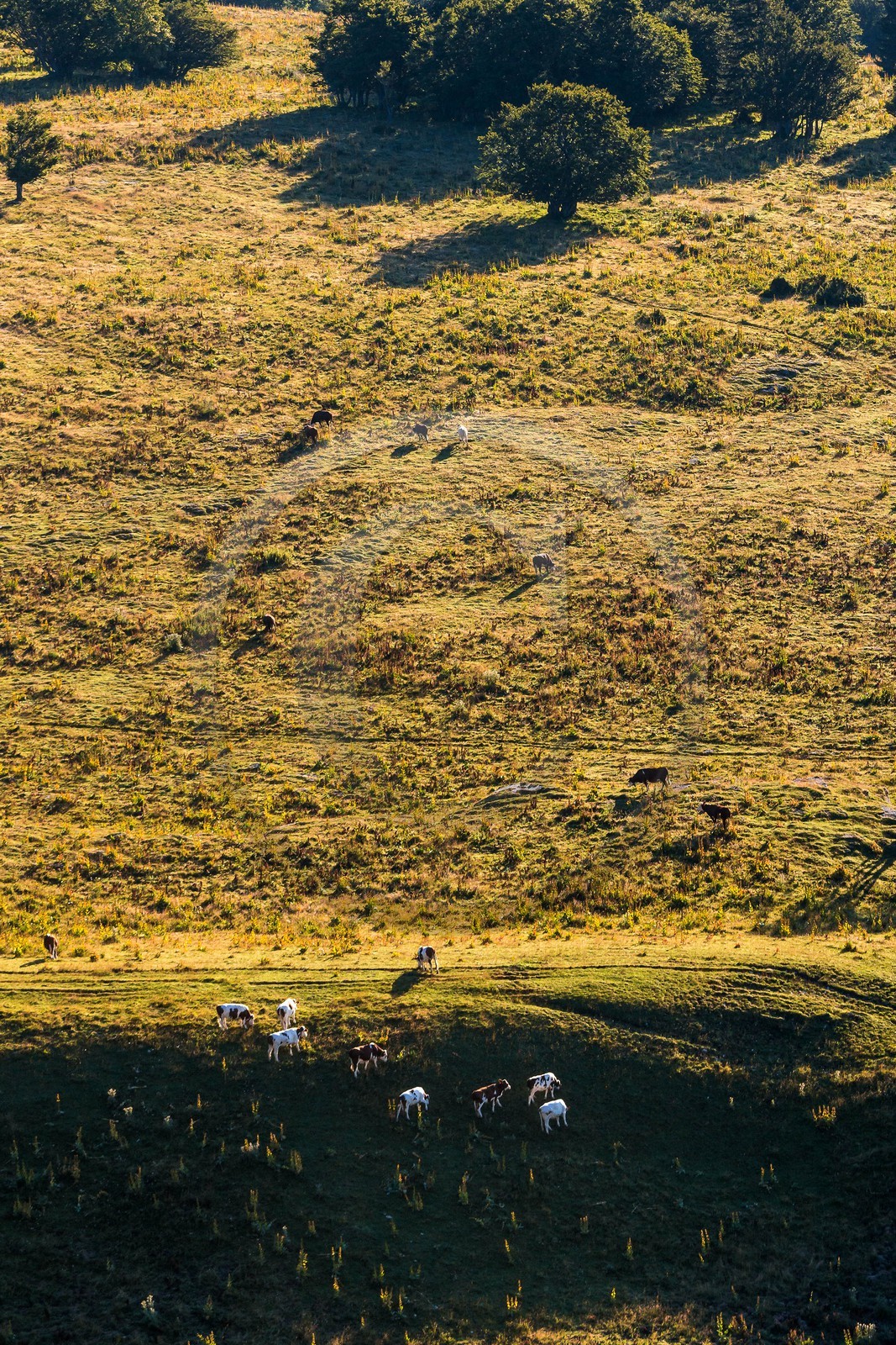 ENS de l'Isère, Plateau de la Molière et du Sornin