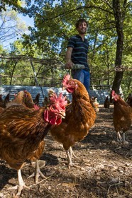 Entre Terre et Miel, Julien Ancel, apiculteur, agriculteur, maraichage