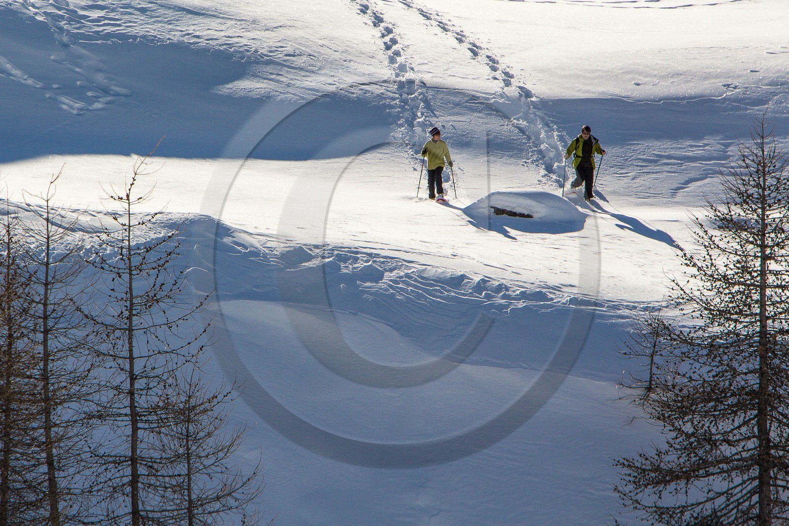 Col de Larche, vallon du lauzanier, randonnée raquettes