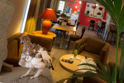 Hôtel restaurant spa Les Bartavelles