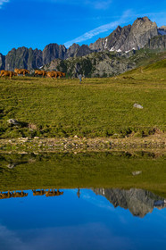 Lac de l'Arpettaz