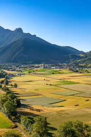 Ancelle