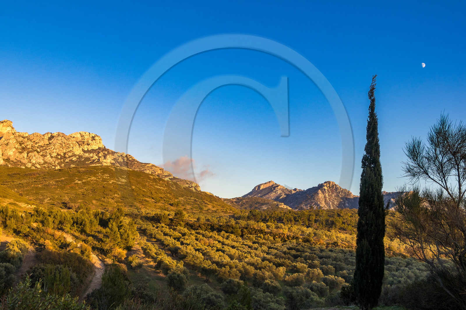 Les Baux de Provence, Domaine La Fabresse
