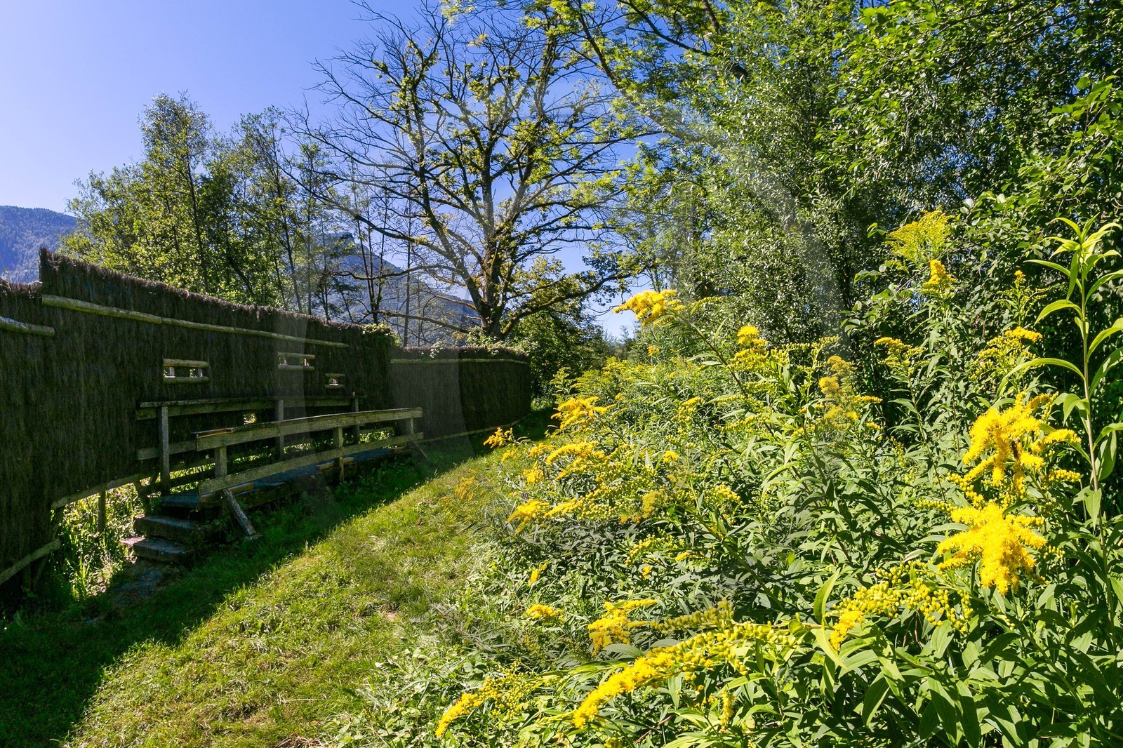 ENS de l'Isère, Tourbières de l'Herretang