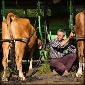 Arvieux, Christian Blanc éleveur de tarines