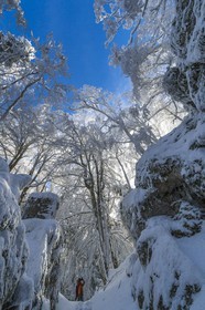 ENS de l'Isère, Les Ecouges
