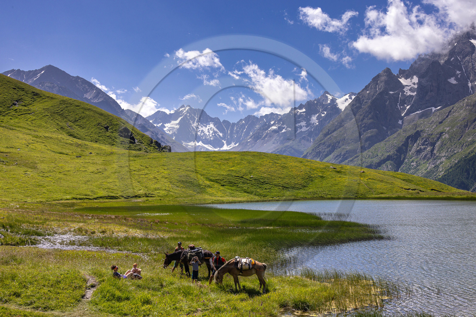 Trek famille avec animaux de bats