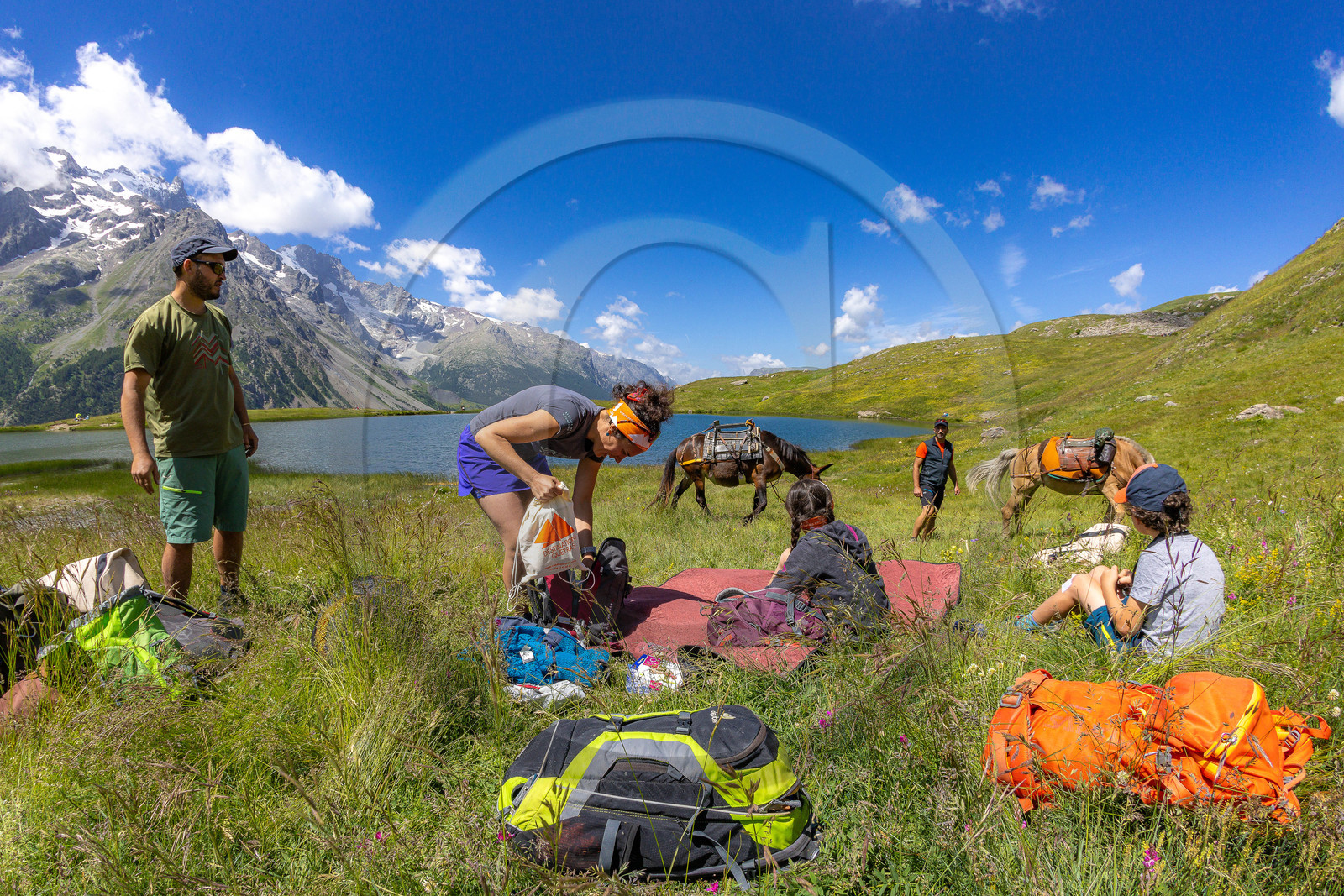 Trek famille avec animaux de bats