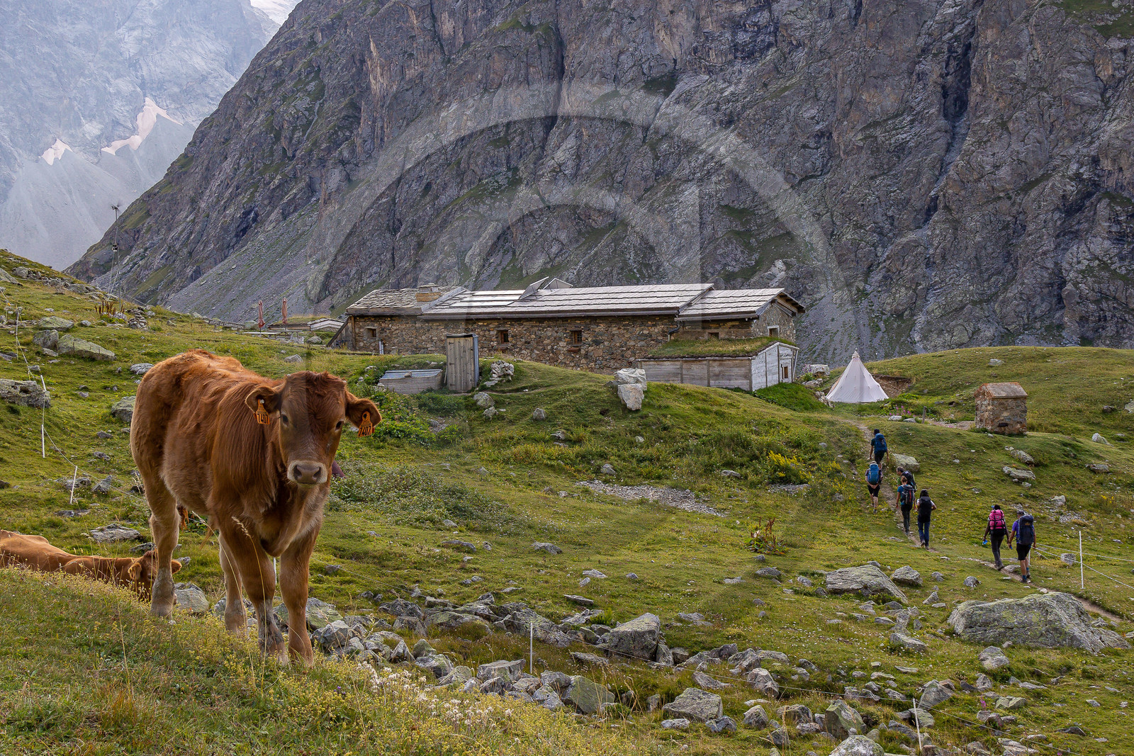 Chalet Refuge de Chamoissière