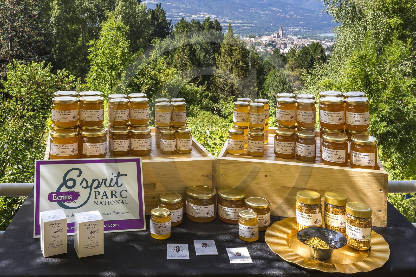 Mathieu Picavet, apiculteur