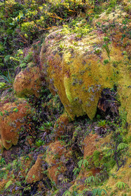La Soufrière, volcan actif de la Guadeloupe