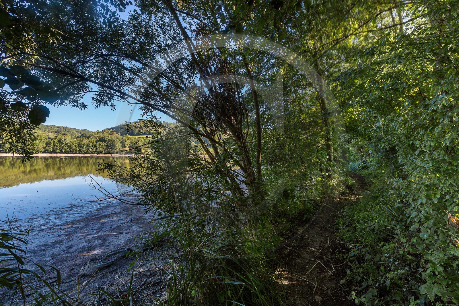 ENS de l'Isère, étang de Montjoux