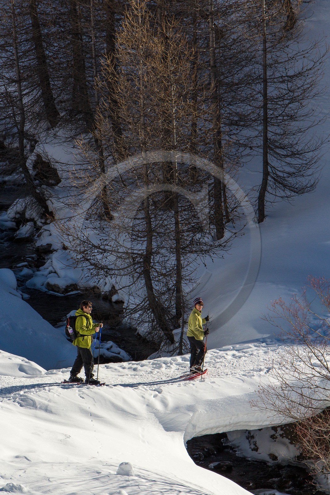 Col de Larche, vallon du lauzanier, randonnée raquettes