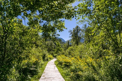 ENS de l'Isère, Tourbières de l'Herretang