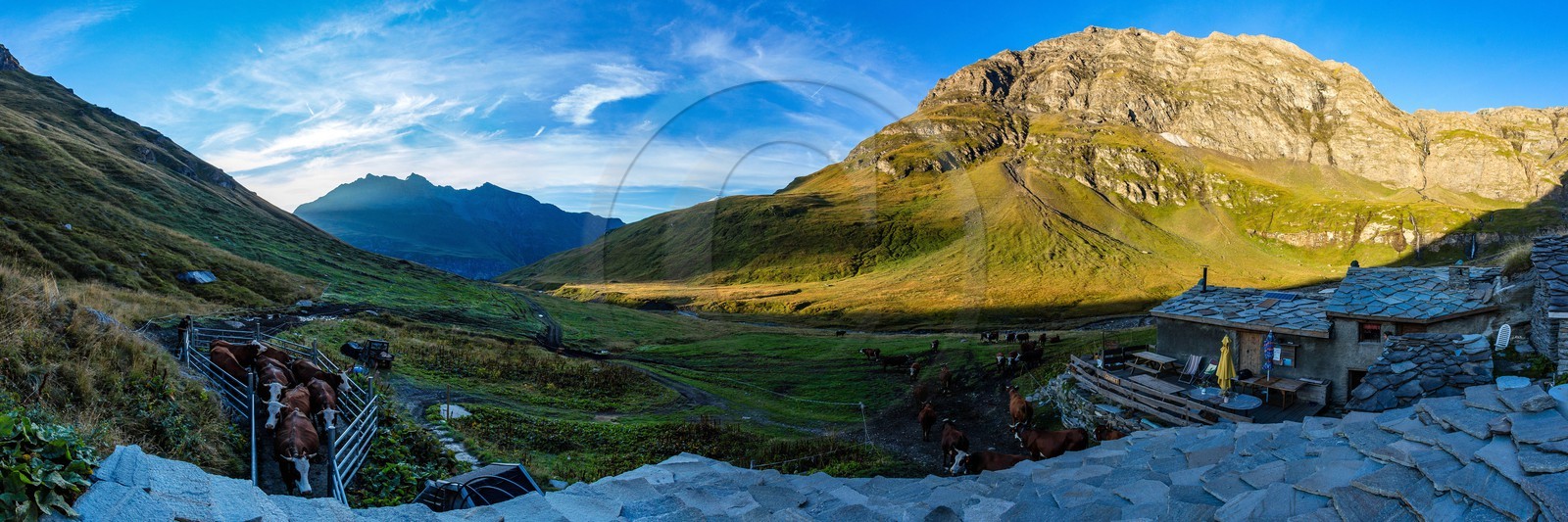 Alpage du Vallon d'en Haut, Sébastien Vincendet