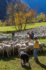 Le Désert, désenmontagnage