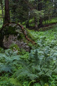 ENS de l'Isère, Les Ecouges
