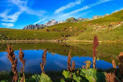 Lac de l'Arpettaz
