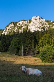 ENS de l'Isère, Les Ecouges