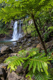 Chute du Carbet, Parc national de la Guadeloupe