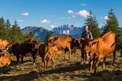Arvieux, Christian Blanc éleveur de tarines