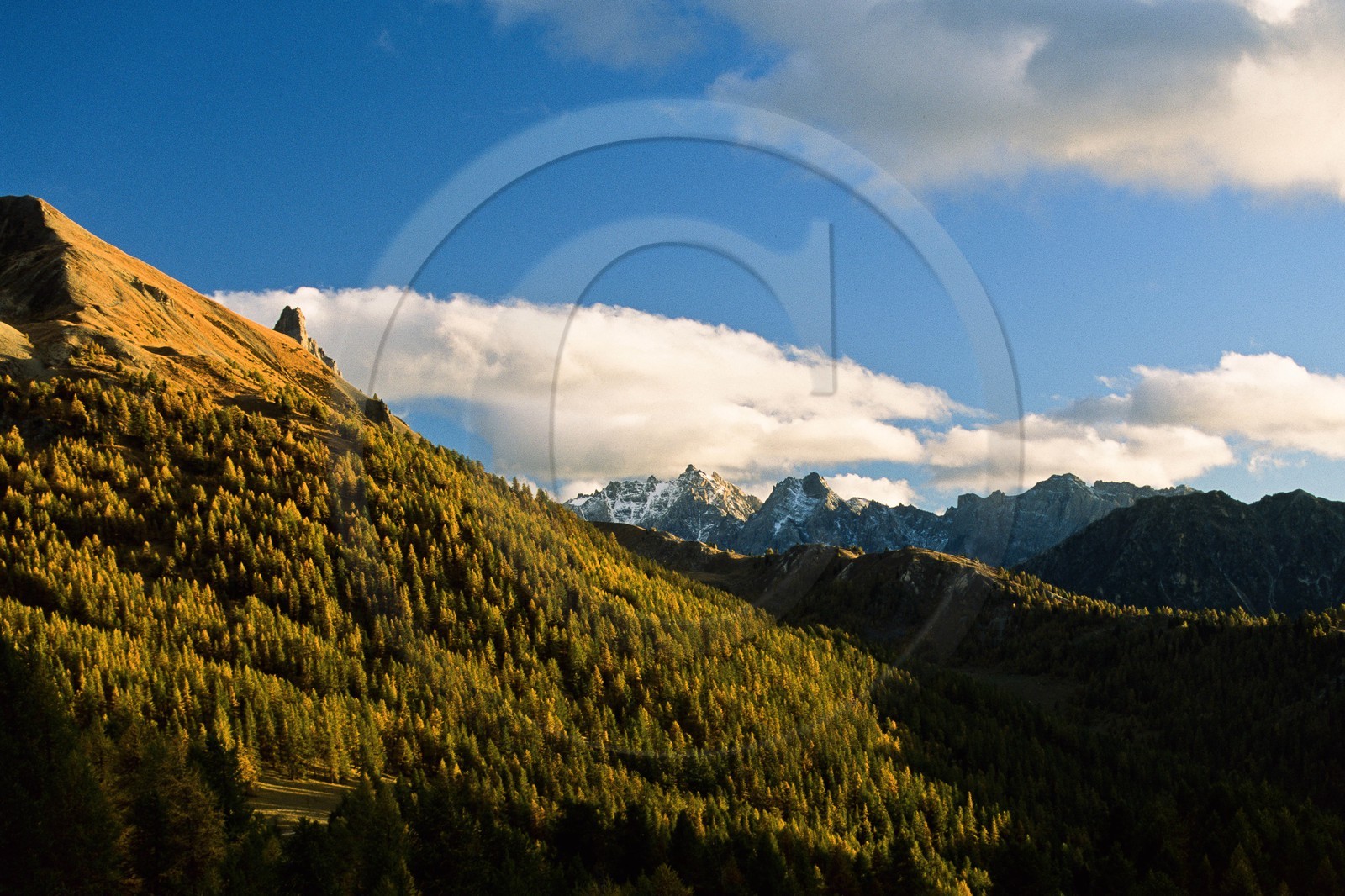 Sentier du col Fromage