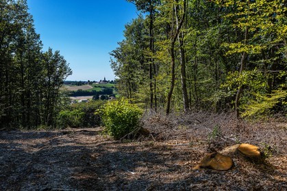 ENS de l'Isère, Etang des Béroudières