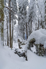 ENS de l'Isère, Les Ecouges