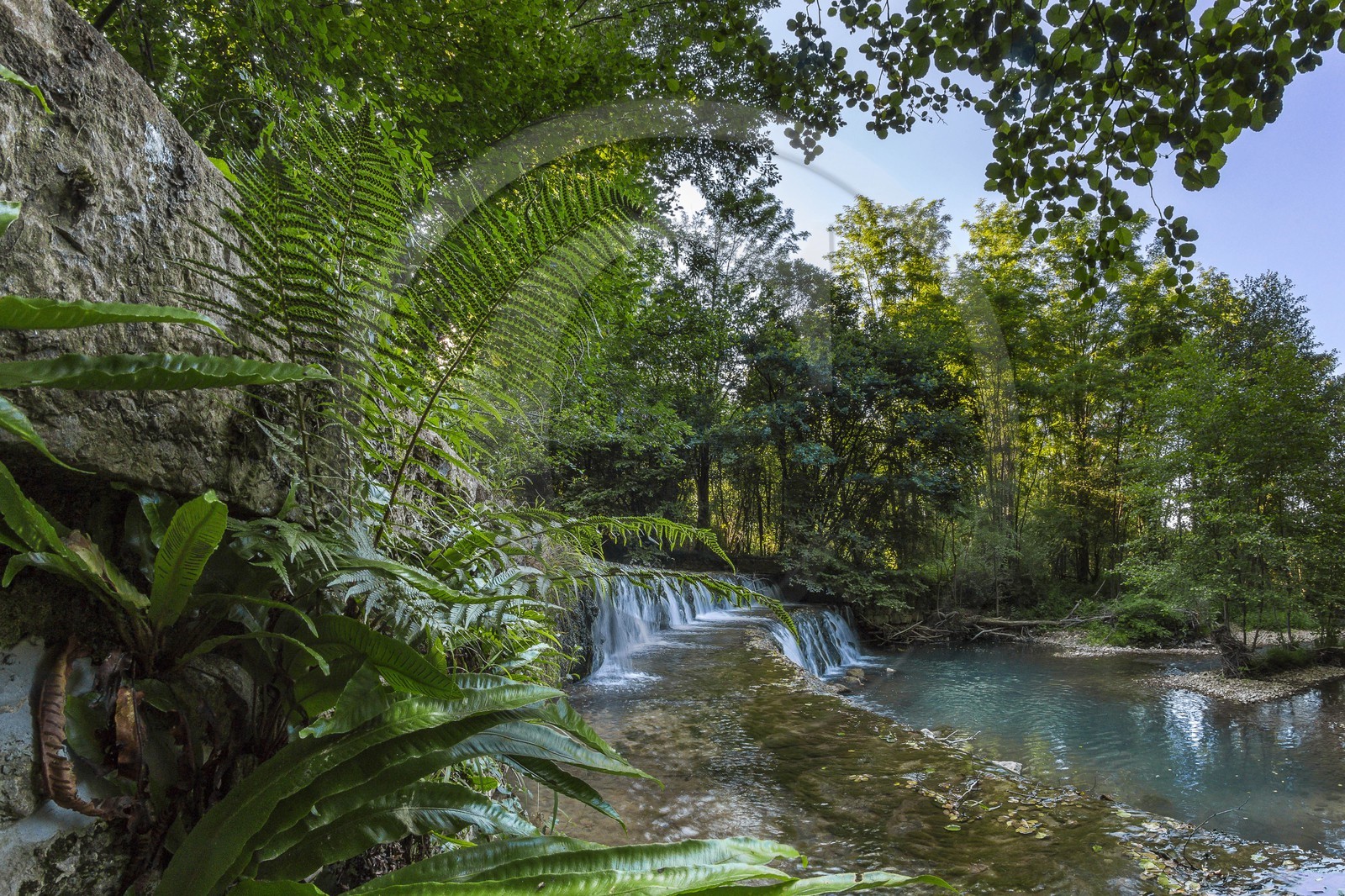 ENS de l'Isère, Zone humide de la Merlière