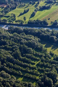 ENS de l'Isère, Vieille morte de Bourg d'Oisans