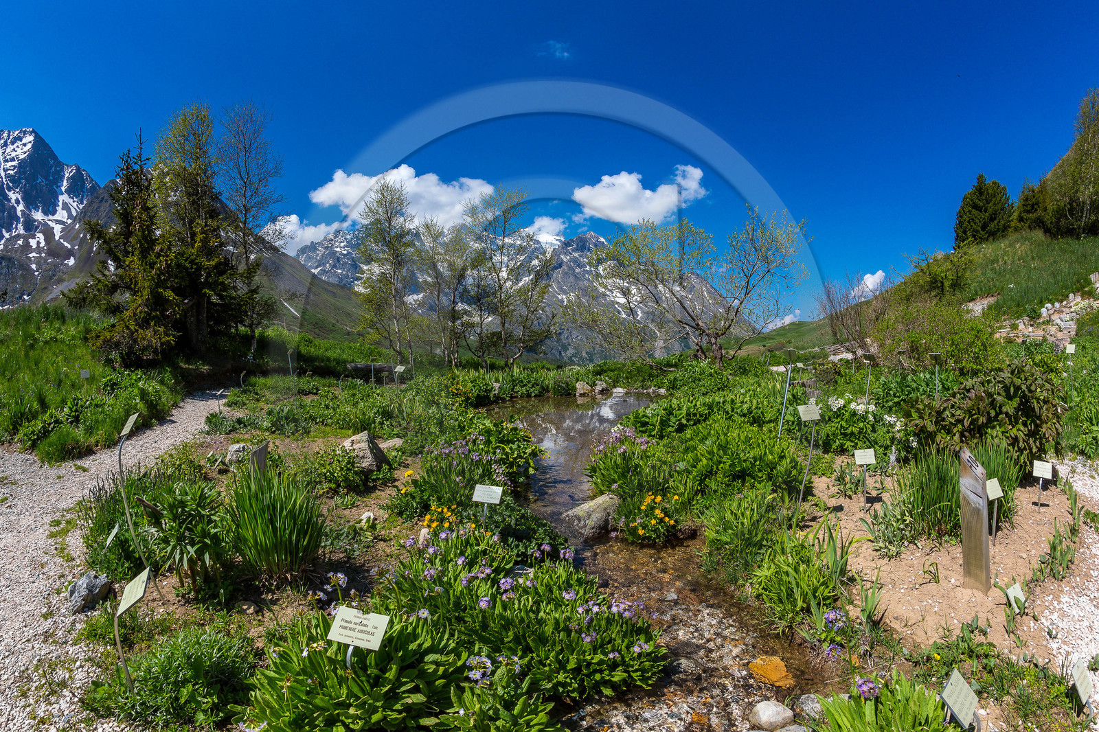 Jardin Botanique Alpin du Lautaret