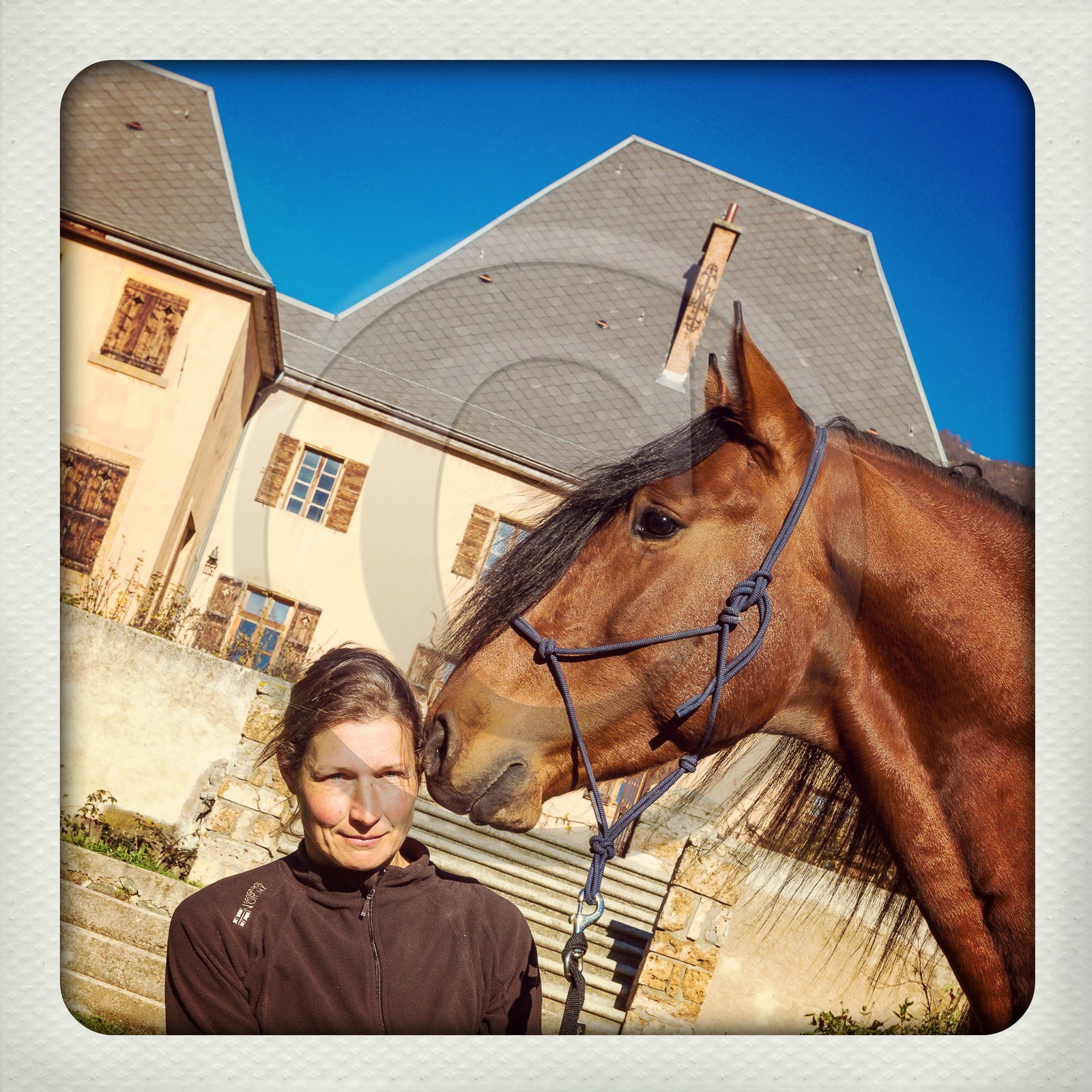 Valbonnais; Chateau Galvin, Haras du Don, Yelena Dovergne