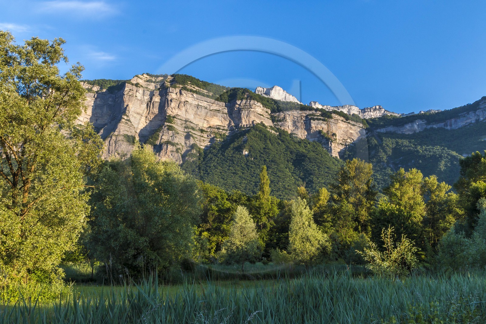 ENS de l'Isère, Marais de Montfort