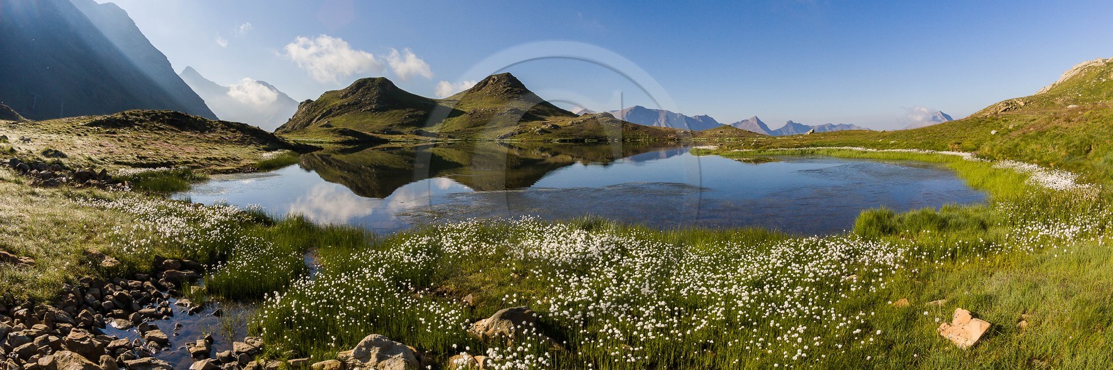 Orcières 1850, linaigrettes au lac Jumeaux