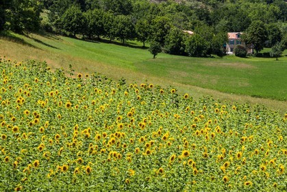 vallée des Duyes, Thoard