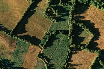 Vallée du Champsaur, le bocage