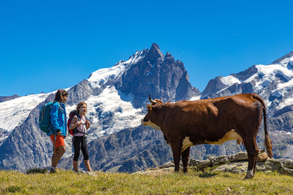 Plateau d'Emparis, randonnée pédestre