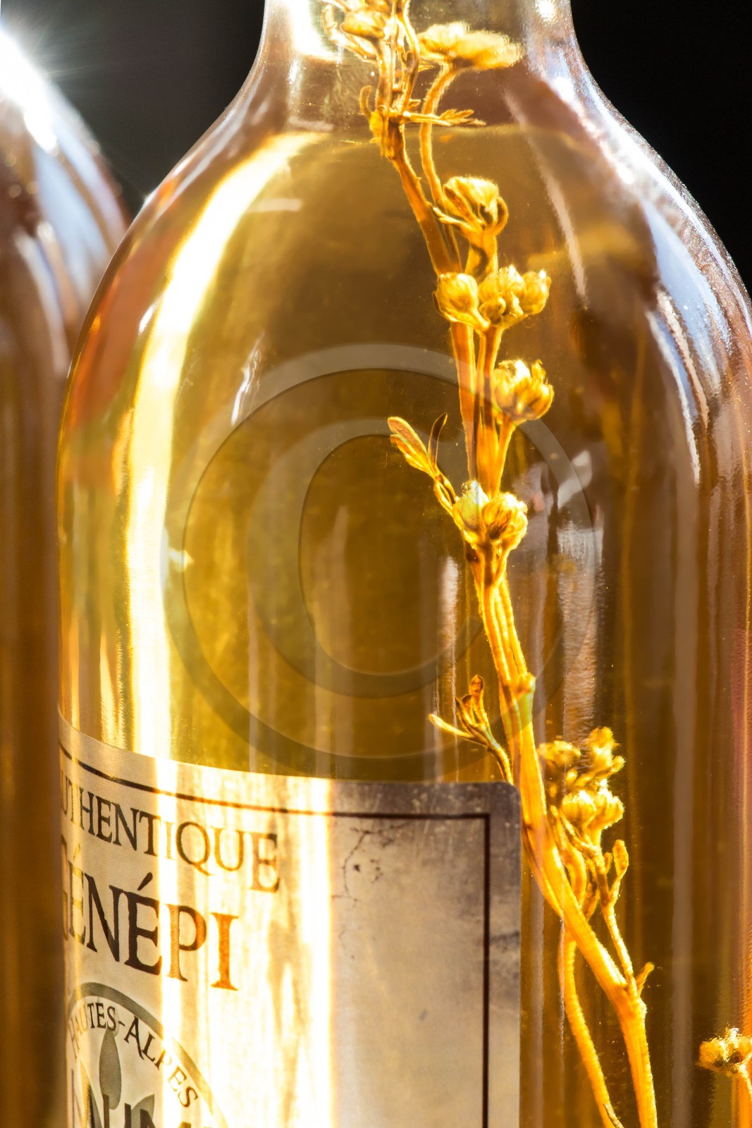 Orcières 1850, Génépi Guillaumette